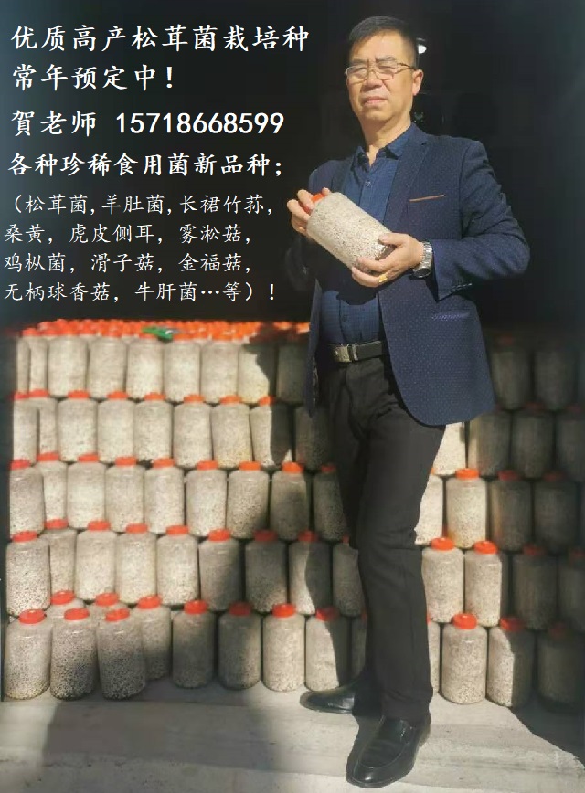 各种珍稀食用菌栽培种常年预定中.jpg