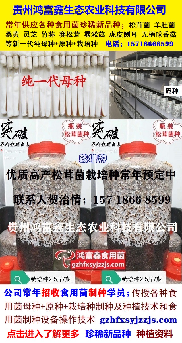 各种食用菌母种+原种+栽培种制种技术-1.jpg