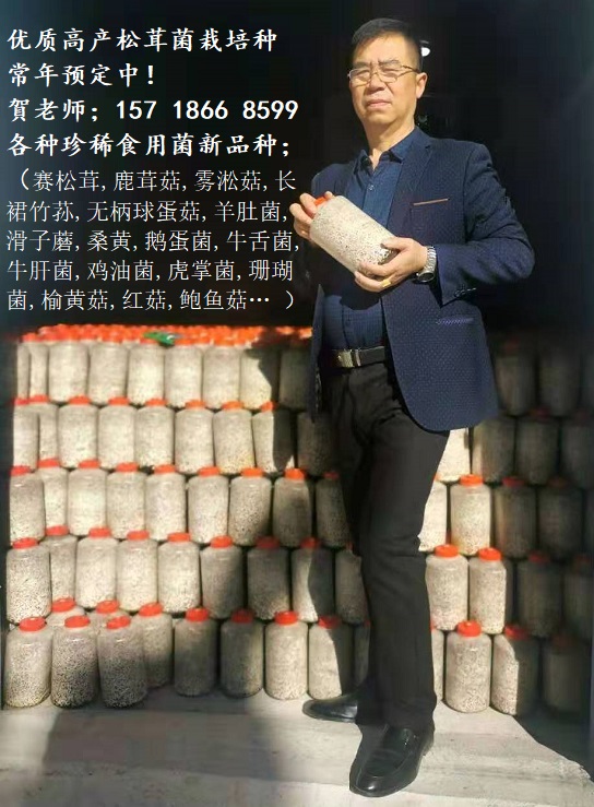 食用菌栽培种AAA.jpg