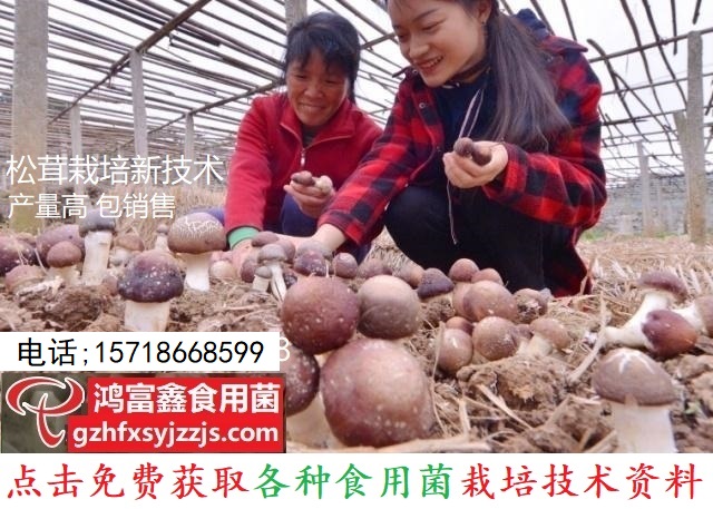 微信图片_202004260647468.jpg