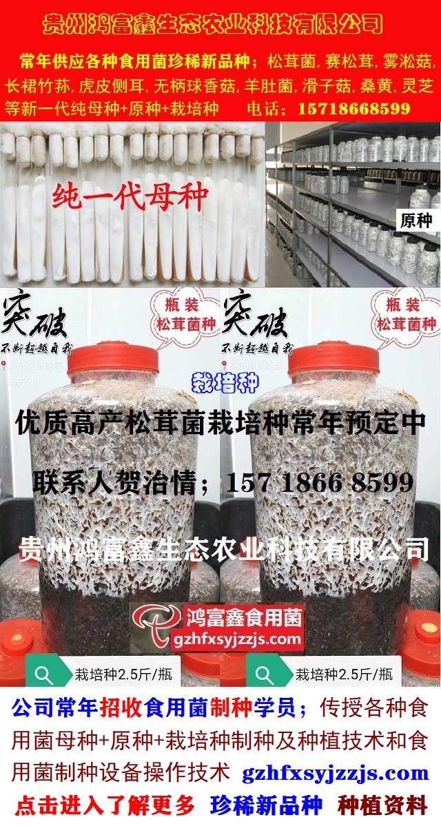 各种食用菌母种+原种+栽培种制种技术.jpg