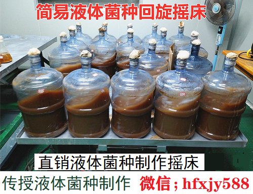 液体菌种制作,液体菌种制作摇床,液体菌种制作培训.png